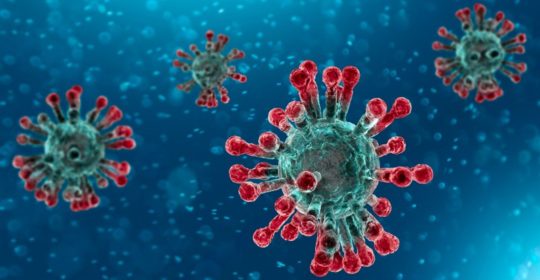 CoVID19 – Corona Virus – Sospensione temporanea dell’attività