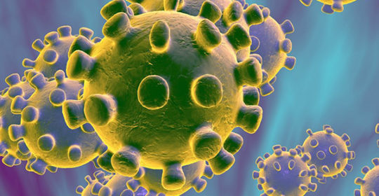 Virus (biologia)