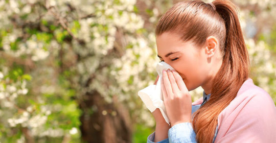 Rinite allergica