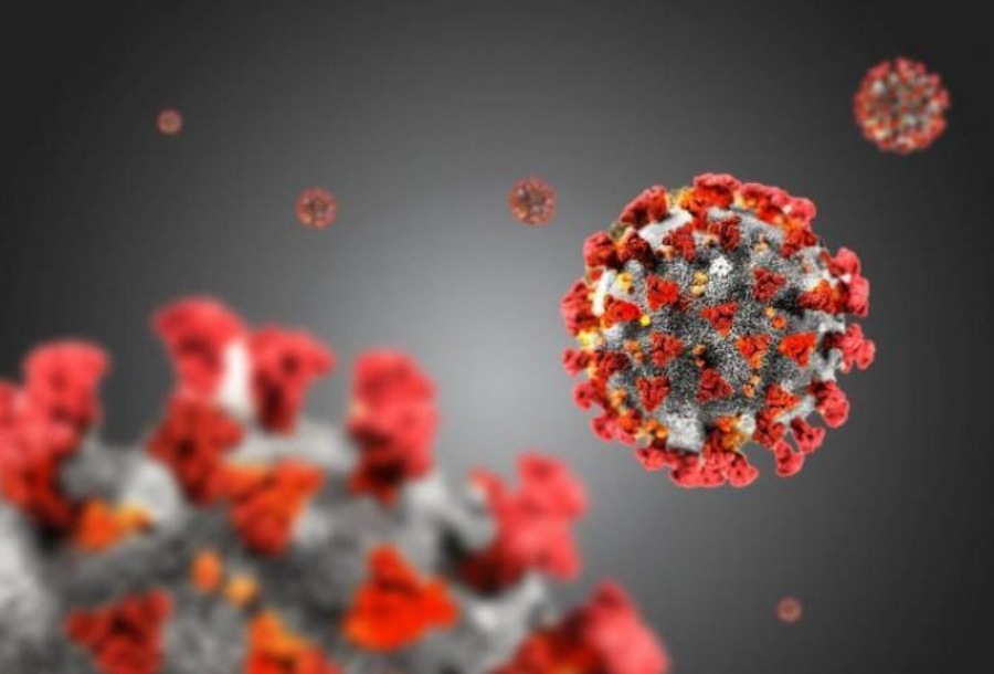 virus